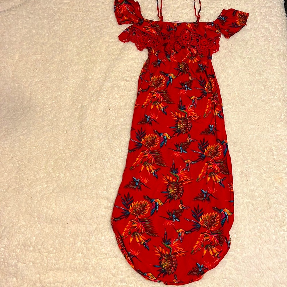 Cute humming birds dress